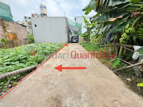 Trang Viet Golden Land, Me Linh - Opportunity to double your assets when Thuong Cat Bridge starts construction _0