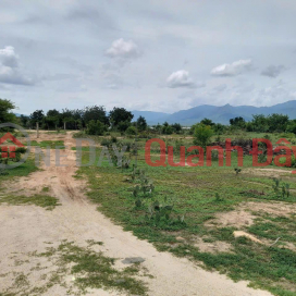 OWNER URGENTLY SELLS 5 AREA OF LAND, Phuoc Ninh Commune, Thuan Nam District, Ninh Thuan Province _0