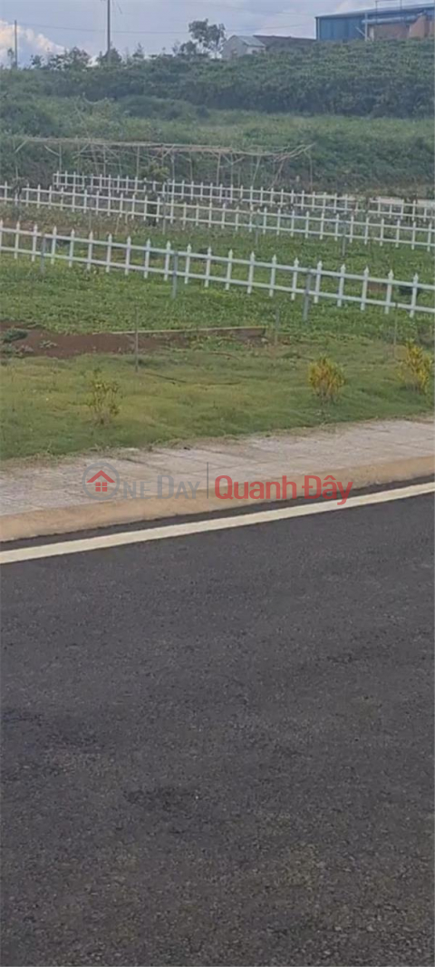 Beautiful Land - Good Price - Owner Needs to Sell Land Lot with Beautiful Location in Loc Quang Commune, Bao Lam, Lam Dong _0