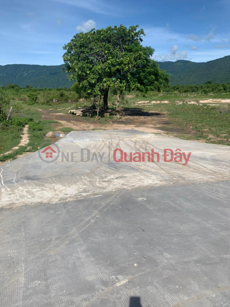 Property Search Vietnam | OneDay | Nhà ở, Niêm yết bán | Chính Chủ - Cần Bán Đất Tại Thôn Phú Sơn, Xã Hàm Phú, Huyện Hàm Thuận Bắc, Tỉnh Bình Thuận.