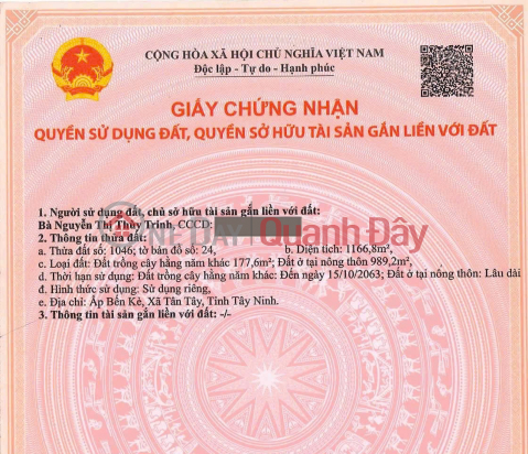 PROFITABLE INVESTMENT – OWNER NEEDS TO SELL LAND WITH FRONTAGE ON NATIONAL HIGHWAY 62 IN TAN TAY COMMUNE, THANH HOA DISTRICT, LONG AN PROVINCE _0