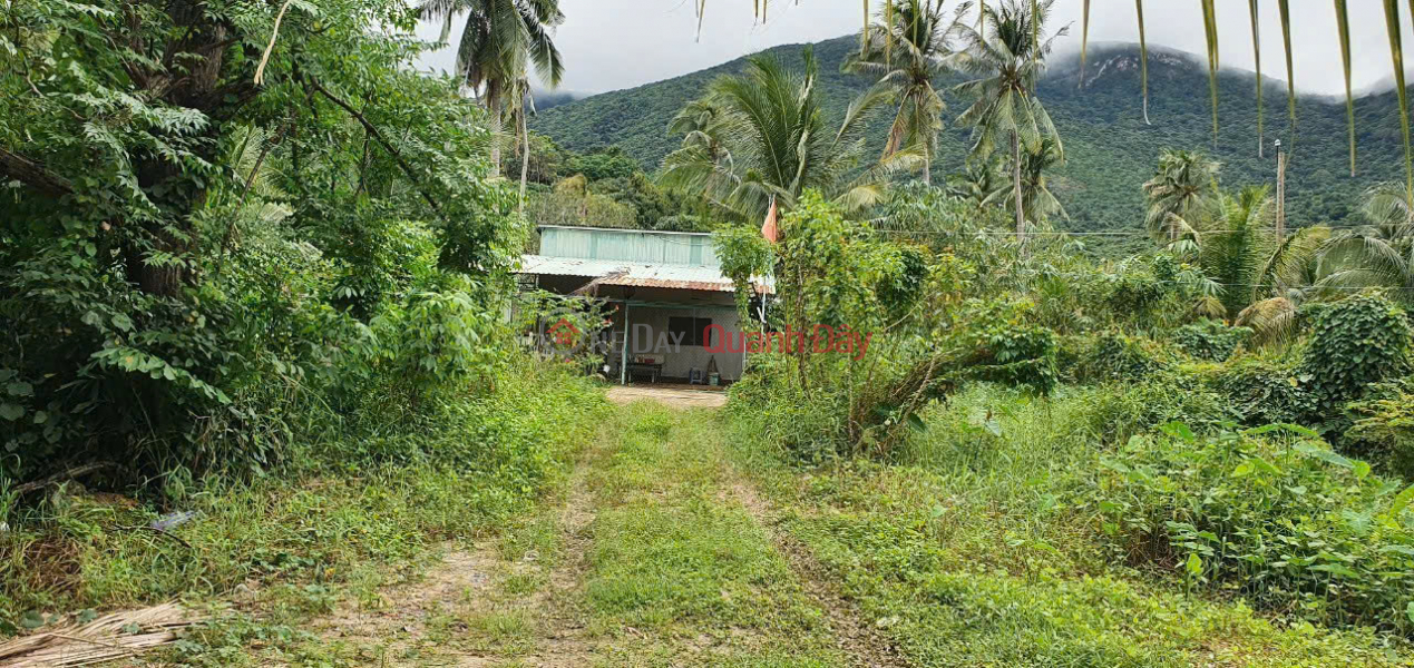 Land for sale on Hoang Phi Yen street, Con Dao, Ba Ria Vung Tau, investment price. Sales Listings