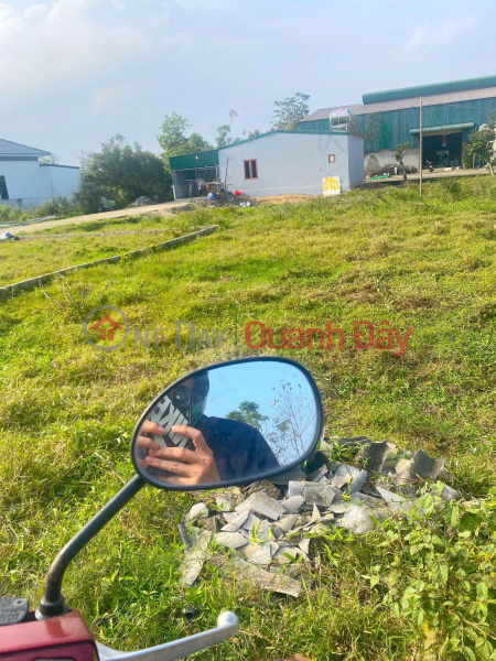 HOT HOT - URGENT SALE: Land plot in Thai Son Hamlet, Vinh Loc Ward, Vinh City, Nghe An Province Sales Listings