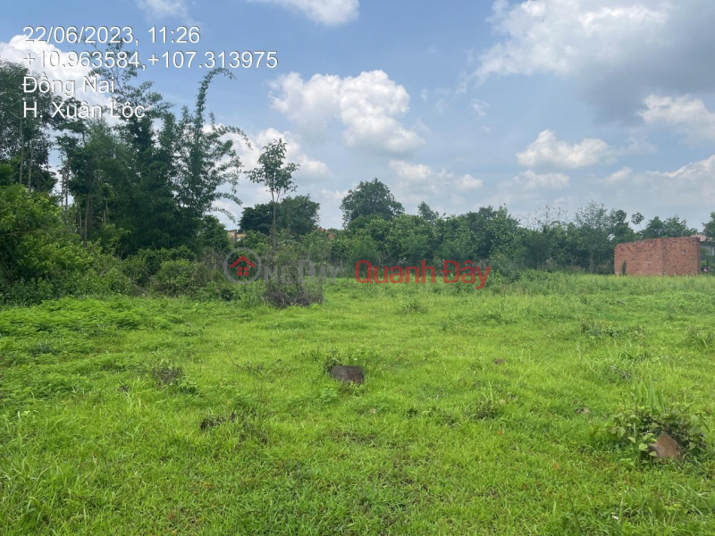 OWNER FOR SELLING 2 ADJUSTABLE LOTS Location Xuan Tho Commune, Xuan Loc District, Dong Nai Province, Vietnam, Sales đ 5.7 Billion