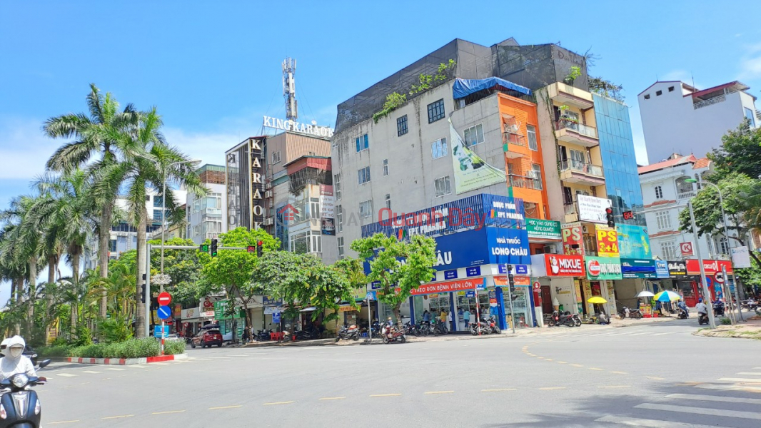 Property Search Vietnam | OneDay | Residential | Sales Listings | Ham Nghi Street: 100m. Mt 8m. 6 floors. Pavement. Gardens. 22 billion.