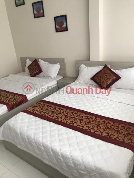 Property Search Vietnam | OneDay | Office / Commercial Property Sales Listings | CENTRAL HOTEL FOR SALE IN TAP TEN DISTRICT, DONG TAP