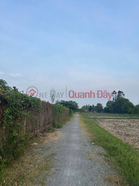 CHÍNH CHỦ BÁN 2 nền đất liền kề hẻm đường d5, khóm 4, phường 5, tp Trà Vinh, Trà Vinh _0