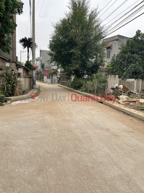 The owner needs money and wants to quickly sell the main plot of land in Thanh Mieu Village, Viet Hung, Van Lam, Hung Yen _0