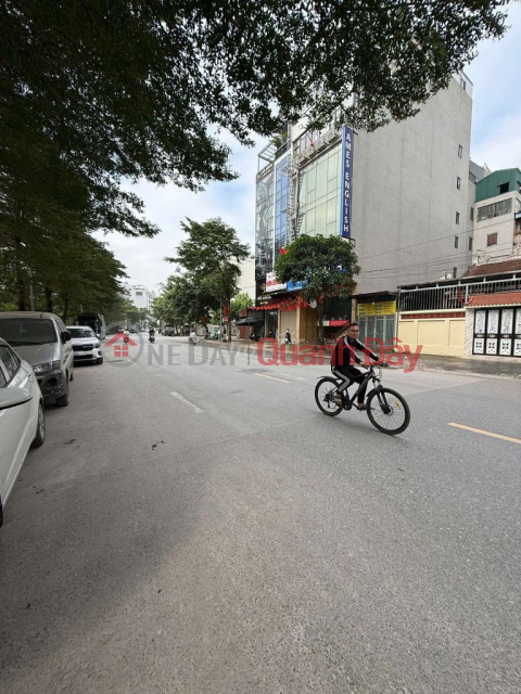 QUICK SALE WAREHOUSE IN THE CENTER OF VINH QUYNH, THANH TRI (NEW DAI THANH COMMUNE) - CARS CAN ACCESS THE HOUSE _0