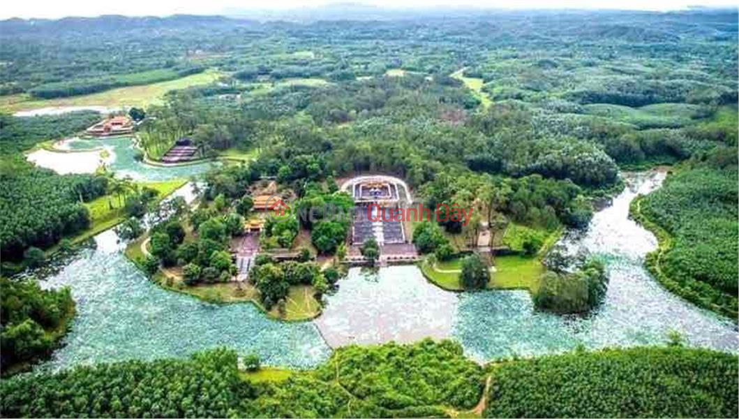 BEAUTIFUL LAND - GOOD PRICE - Land Lot For Quick Sale In Quang Thinh Commune, Thanh Hoa City, Thanh Hoa Vietnam | Sales đ 800 Million