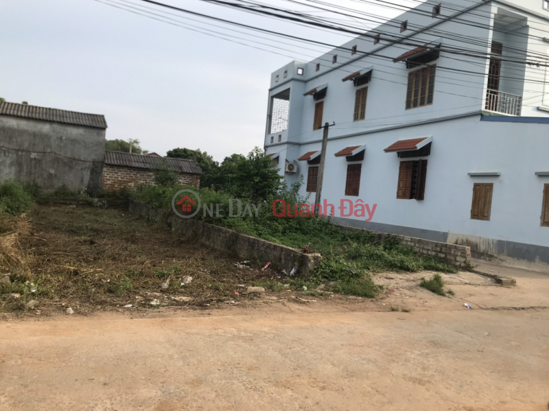 Property Search Vietnam | OneDay | Residential, Sales Listings | The family urgently needs to sell the main axis of the village near Hoa Lac CNC