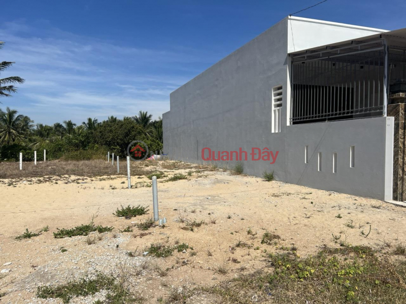 BEAUTIFUL LAND - GOOD PRICE - Land Lot For Sale At Ha Huy Tap Street, Cuu Loi Dong Quarter, Hoai Nhon Binh Dinh Sales Listings