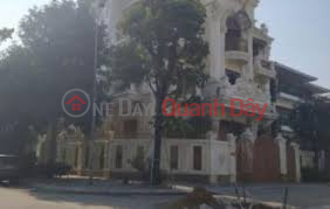 Bán biệt thự Mỹ Đình lô góc 145m² x4,5 tầng giá 41,8 tỷ _0