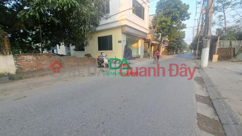 Land for sale 53.8m2 Phuong Trach Vinh Ngoc Dong Anh near the 108-storey financial tower _0