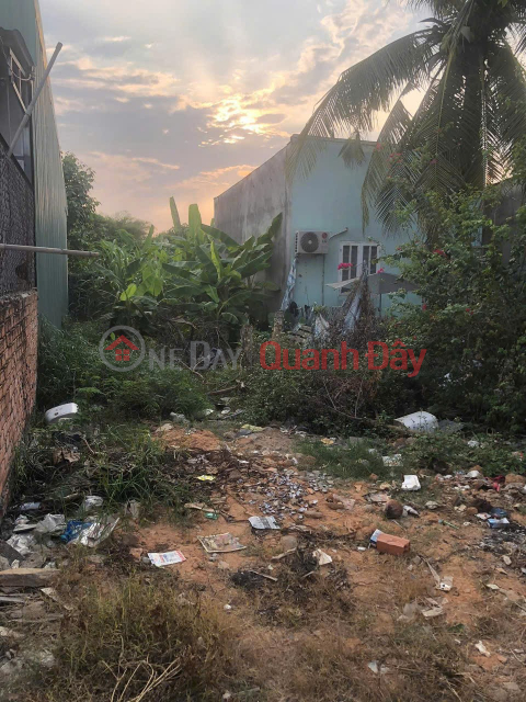 PRIME LAND – GREAT PRICE – URGENT SALE in An Hoa Commune (formerly Bien Hoa City),Dong Nai Province _0