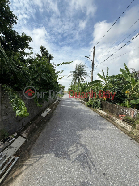 đ 1,82 tỷ | LÔ 89M² GIÁ RẺ HIẾM NGÕ 171 THƯỢNG ĐỨC – GẦN ĐƯỜNG VEN BIỂN – ZALO 0567 222 555