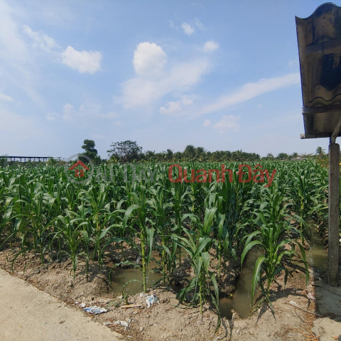 OWNER FOR SALE Lot of Land with Beautiful Location at Binh Long Hamlet, Thanh Binh Commune, Cho Gao, Tien Giang _0