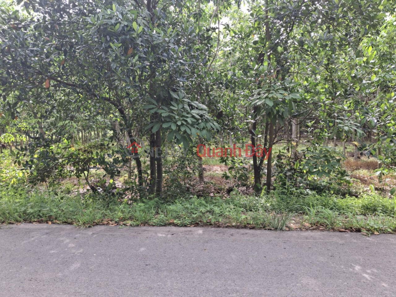 Beautiful Land - Good Price - Owner Needs to Sell Land Plot Quickly in Binh Minh, Tay Ninh Town Sales Listings