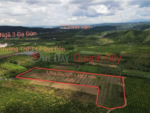 BEAUTIFUL LAND - GOOD PRICE - Own the Land Lot Prime Location In Da Don Commune, Lam Ha District, Lam Dong _0