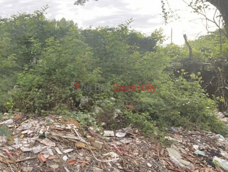 Đất SHR Nở hậu HXH 80m2 – Phạm Văn Chiêu Gò Vấp SSS, Việt Nam Bán, đ 5,4 tỷ