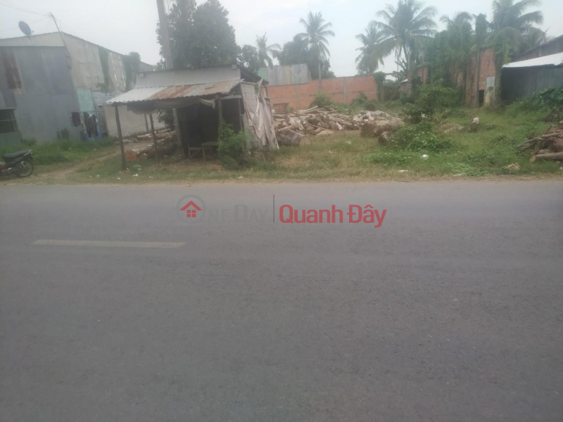 Property Search Vietnam | OneDay | Residential, Sales Listings, BEAUTIFUL LAND - GOOD PRICE - Owner Needs to Sell Land Plot Quickly in Quoc Thai, An Phu, An Giang