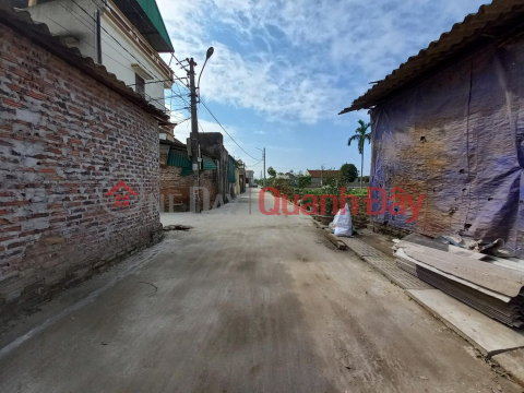 LAND FOR SALE 41.2M2 ON THE WEST BORDER OF DINH TRUNG XUAN NON DONG ANH (THU LAM NEW) - ONLY 3.X BILLION (X SMALL) _0