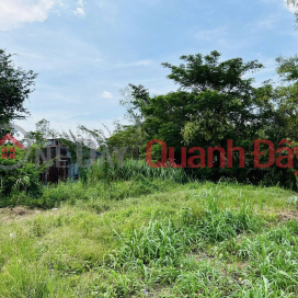 FOR SALE LAND FOR K16 STREET IN PHU THANH - PHU TAN _0