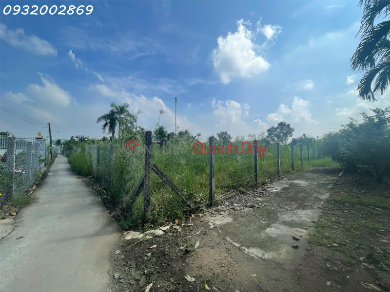 Property Search Vietnam | OneDay | Nhà ở, Niêm yết bán, Cần tiền bán gấp 8.000m2 Tại Đường ĐT 830B, Cần Đước, Long An, giá chỉ 10tr/m2