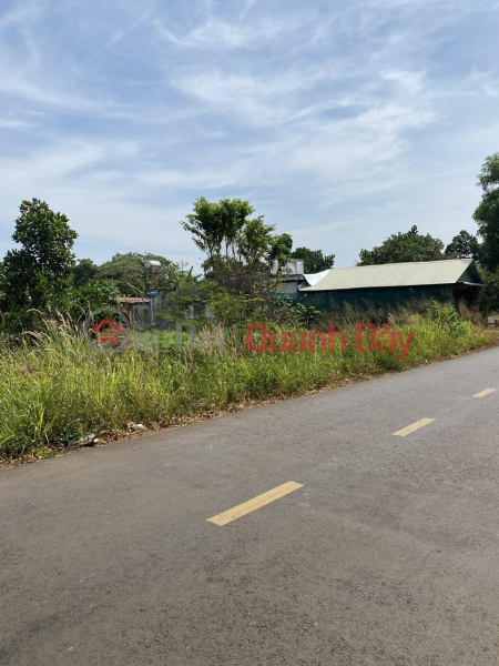 BEAUTIFUL LAND - PROFITABLE INVESTMENT - Owner Needs to Sell Quickly Plot of Land in Bao Binh Commune, Cam My, Dong Nai, Vietnam | Sales đ 4.2 Billion