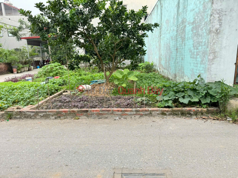 Bán đất thôn Ấp Tre, Quang Minh, Mê Linh. Vị trí nằm sát trường cao đẳng Y Dược Tuệ Tĩnh, Việt Nam | Bán đ 6,1 tỷ