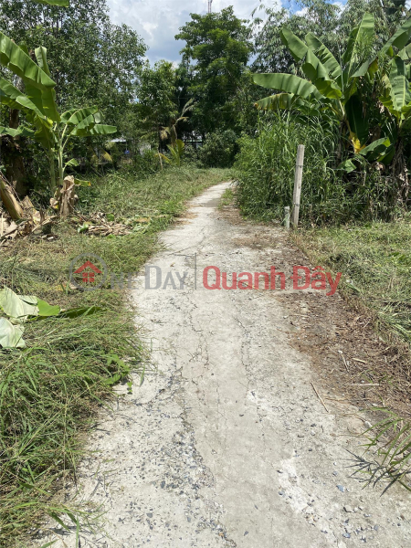 đ 500 Million, BEAUTIFUL LAND - GOOD PRICE - Land Lot For Sale Prime Location In Phong Dien District - Can Tho