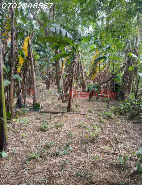 đ 5.8 Billion, SUPER PRODUCT - GARDEN LAND FOR SALE WITH STREAM VIEW - HOA BAC "ONE OF A KIND" AREA 1,780m², INVESTMENT PRICE