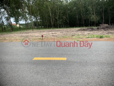 Owner Needs To Quickly Sell Nice Plot Of Land In Chon Thanh Town - Binh Phuoc _0
