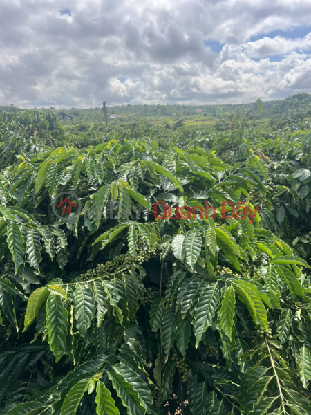 Nhanh tay khách đâu tư một lô siu rẻ ngợp -banhk tại trung tâm Liên Hà, xã Tân Hà siu rẻ Việt Nam | Bán, đ 13,5 tỷ