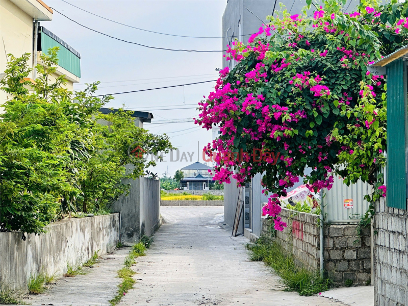 | Làm ơn chọn | Nhà ở | Niêm yết bán, đ 690 triệu