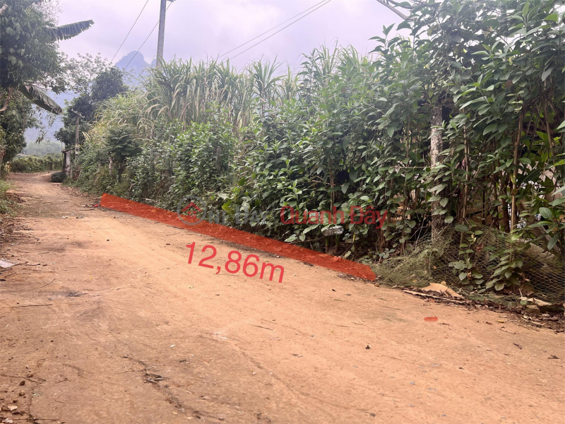 Beautiful Land - Good Price - Owner Needs to Sell Land Lot in Beautiful Location in My Hoa - Tan Lac - Hoa Binh Sales Listings