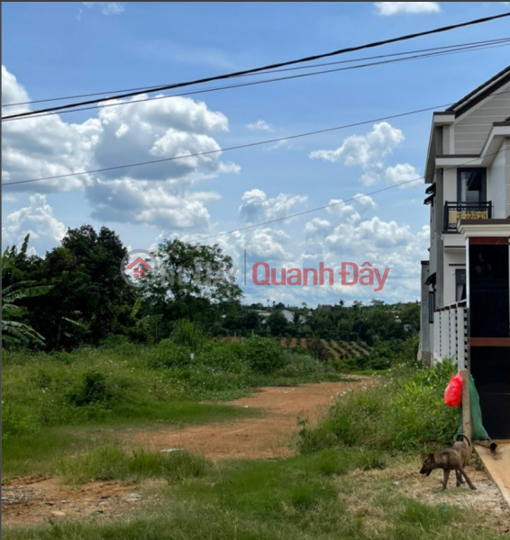 Land for sale available Sales Listings (Dung-9903713129)