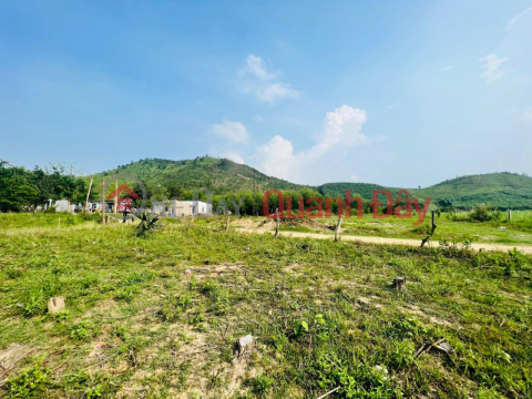 OWNERS FOR SALE LAND IN Song Bung Village, Ninh Tay Commune, Ninh Hoa Town, Khanh Hoa _0