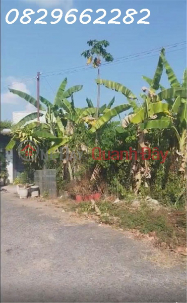 Only 10 million VND\\/m2, Own a 96m2 Residential Land Plot with Separate Title Deed, Paved Road, Residential Area 853, Tan Phu Dong, Sa City | Vietnam Sales đ 960 Million