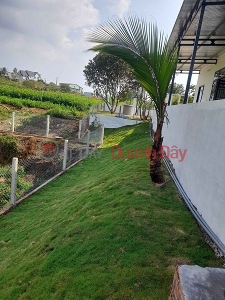 Property Search Vietnam | OneDay | Residential, Sales Listings, Owner's House - FOR SALE BEAUTIFUL HOUSE At Alley 740 Ly Thai To Street, Ward 2, Bao Loc City, Lam Dong Province