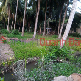 OWNER - FOR SALE LOT OF LAND BEAUTIFUL LOCATION In Binh Tho Dong Hamlet, Binh Phan Commune, Cho Gao, Tien Giang _0