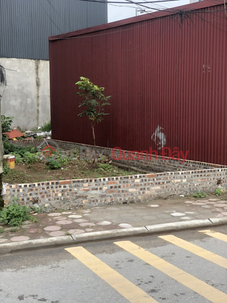 ĐẦU TƯ ĐINH ( ĐẤT ĐA TỐN ). ĐƯỜNG TRỤC CHÍNH-Ô TÔ NGỦ TRONG NHÀ- HÀNG XÓM VIN & ECO. 52M2 GIÁ 2,8 TỶ | Việt Nam | Bán đ 2,8 tỷ