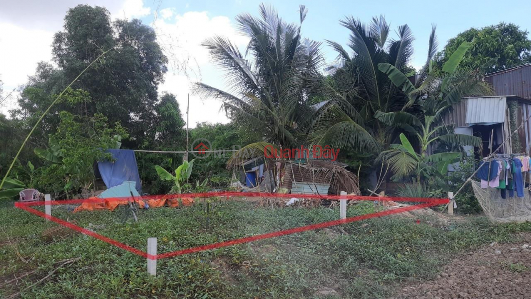 BEAUTIFUL LAND - GOOD PRICE - OWNERS Need to Sell Beautiful Land Plot Urgently Location in Binh Chanh District Sales Listings