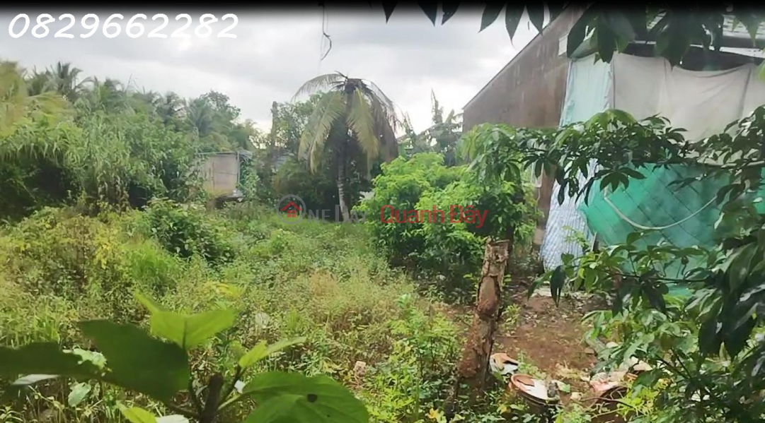 Property Search Vietnam | OneDay | Residential | Sales Listings, Land for sale in Sa Dec, 120m2, Ba Lai Street, with Red Book title deed, Southeast facing, only 560 million VND.