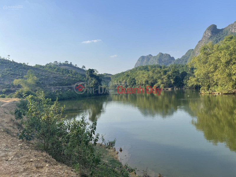 The owner sold 3.1 hectares 200 meters away from the lake in Sao Bay, Kim Boi., Vietnam | Sales ₫ 12 Billion