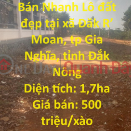 Owner Needs to Sell Quickly Beautiful plot of land in Gia Nghia city, Dak Nong province _0