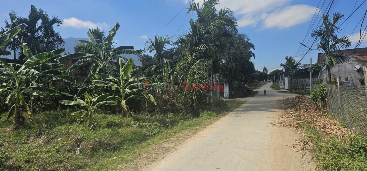 ĐẤT ĐẸP- GIÁ TỐT- CẦN BÁN NHANH ĐẤT tại Xã Hòa Lễ, Huyện Krông Bông, Đak Lak Việt Nam, Bán | đ 1 tỷ