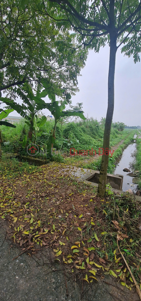 LAND FOR SALE IN TIEN HAI INDUSTRIAL PARK, AREA FROM 14000M2 TO 50000M2, PRICE FROM ONLY 1.9 MILLION\/M2. _0