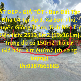 BEAUTIFUL LAND - GOOD PRICE - Selling Land for C4 House in Giong Trom, Ben Tre _0