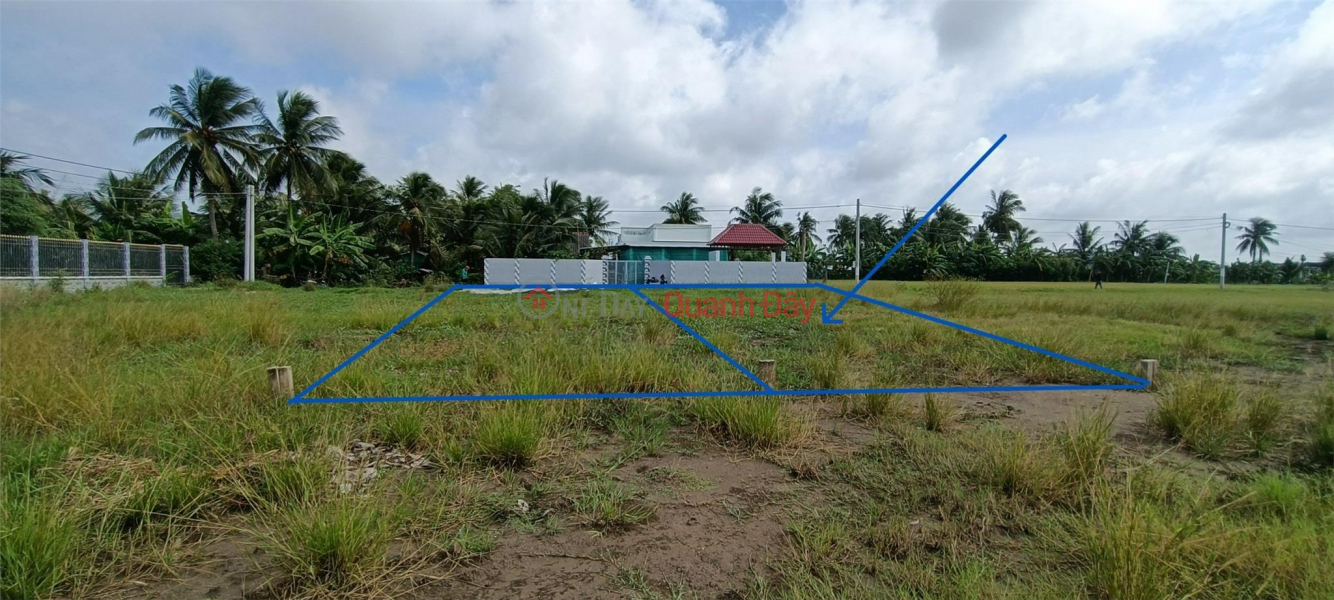 BEAUTIFUL LAND - GOOD PRICE - Selling 2 Beautiful Land Lots In Long Chanh - Go Cong - Tien Giang | Vietnam Sales | đ 590 Million